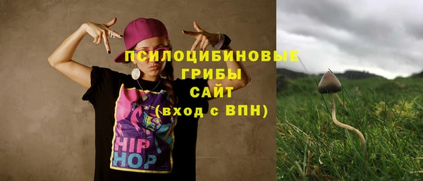 а пвп мука Алзамай