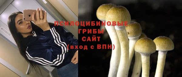 а пвп мука Алзамай