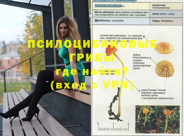 МДПВ Магас