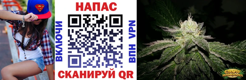 закладки Абинск Бошки марихуана конопля